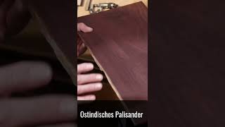 Ostindischer Palisander  Eine ProfiGitarre vom Guitar Doc shorts guitar building diy [upl. by Ollopa]