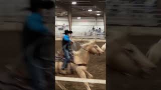 Ranch rodeo horse ranchrodeooklahoma greyhorse [upl. by Damahom]