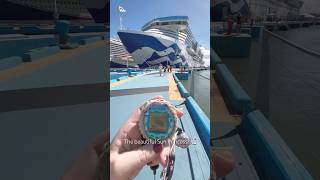 🛳️ Traveling With My Tamagotchi Again ✈️ tamagotchi tamagotchiconnection travelvlog [upl. by Stewardson]