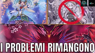 SUBITO Marincess White Woods NON PERVENUTO e stesse PROBLEMATICHE Report Metagame OCG YUGIOH [upl. by Engedi441]