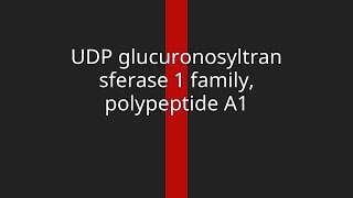 UDP glucuronosyltransferase 1 family polypeptide A1 [upl. by Tiena591]