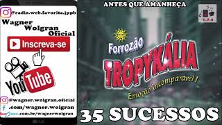 Forrozão Tropykalia  35 Sucessos  Cd Completo Das Antigas [upl. by Claman]