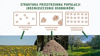 Cechy populacji biologia szkoła podstawowa [upl. by Chrysler]