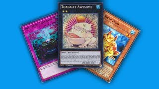 Competitive Paleozoic Frog Deck Profile February 2018 [upl. by Fairley390]