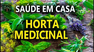 Plantas Medicinais para Plantar em Casa Saúde e Alegria com Sandra Regina [upl. by Etka]