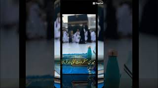 A merey rab merey yaqeen ki laaj rakh Ameen viralvideo youtubeshorts islam islamic fypシ゚viral [upl. by Chobot]