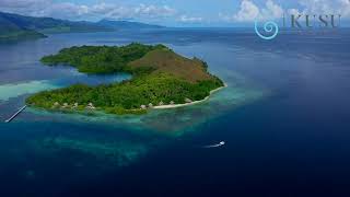 Day in the Life  Kusu Island Resort  South Halmahera  Indonesia [upl. by Euqinahs]