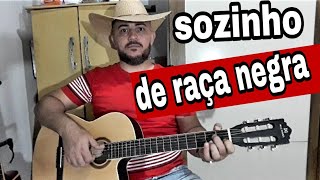 como tocar sozinho de raça negra no violão [upl. by Farand390]