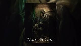 Osama Al Safi  Tabalagh Bil Qaleel Super Slowed Down and Reverb [upl. by Clymer]