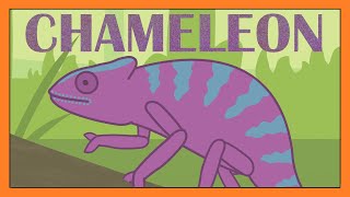 Chameleon Song  Fun Educational Animal Song for Kids │ Smiley Rhymes [upl. by Files]