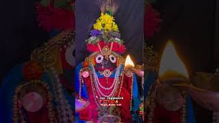 Dipu Babu Jay Jagannath 🚩⭕‼️⭕🙏 [upl. by Diantha]