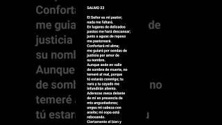 Salmo 23 Catolico Oracion Salmo 23 Alabanza Salmo 23 con letra Audio Salmo 23 [upl. by Yhtuv]