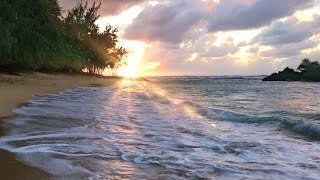 Hawaii Ocean Waves White Noise  Sleep Study Insomnia Relief  Beach Sounds 10 Hours [upl. by Uyr]