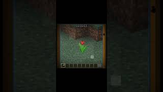 Minecraft spyglass ☠️☠️ [upl. by Dnalyaw61]