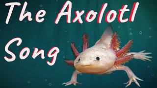 The Axolotl Song  Reptile Raps [upl. by Yengac221]