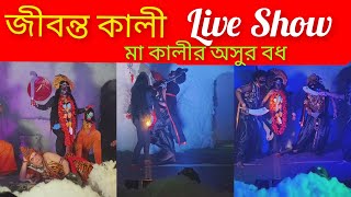 কালী মায়ের Live Performance😱😍🙏 maakali kalipuja2024 kali trending hindufestival maa [upl. by Aynekal]