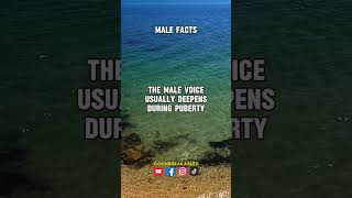 The Male Voice malefacts successmindset internetmoney shots [upl. by Laurinda]