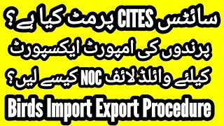 Birds Import Export Business What is CITES Permit How to do Import amp Export of Birds NOC Wildlife [upl. by Samson168]