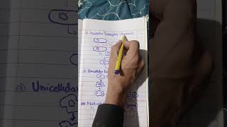 Methods of Asexual reproduction Binary Fission1 [upl. by Pulling]