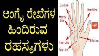 ಅಂಗೈ ರೇಖೆಗಳ ಹಿಂದಿರುವ ರಹಸ್ಯಗಳು  Palm Astrology in Kannada  YOYO TV Kannada [upl. by Eetsim]