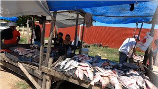 PORT MOURANT MARKET CORENTYNE BERBICE [upl. by Siahc168]