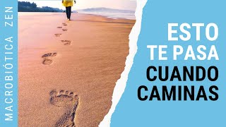 11 COSAS QUE TE PASAN CUANDO CAMINAS TODOS LOS DÍAS  Caminar es bueno 😍 Macrobiótica Zen [upl. by Anahpets]