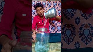 How to culture artemia tamil kolathurfishmarket trending bettafish guppyfish artemia moina [upl. by Baniez]