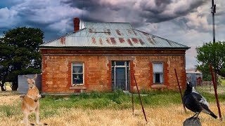 Two Abandoned 1800s Cottages From The Bygone Era [upl. by Omixam]