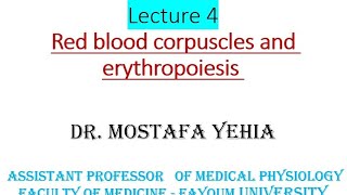 المحاضرة الرابعة كلية التمريض ومعهد التمريض 2024 Red blood corpuscles and erythropoiesis [upl. by Bertram]