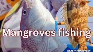 Mangroves fishing trevally malabar  kukar ککڑ  Hamour fish Karachi fishing keti bandar fishing [upl. by Mariano]