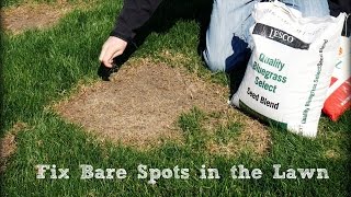 How To Seed And Repair Bare Spots in the Lawn [upl. by Demaria]