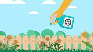 How to dispose of household pesticides  Product Care Recycling [upl. by Leboff397]