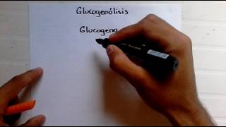 Glucogenolisis [upl. by Retxab220]