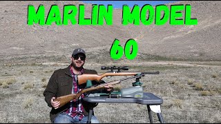 Marlin Model 60 Review [upl. by Roskes]