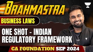 One Shot  Indian Regulatory Framework  Partnership Act  Business Laws  CA Foundation Sep 2024 [upl. by Harrie676]