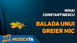 Balada unui greier mic  Mihai Constantinescu [upl. by Hall]