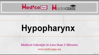 Live class Hypopharynx by Dr Suguna [upl. by Lightfoot812]