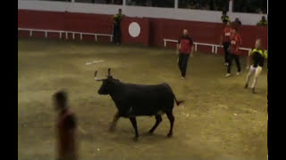 PlaisanceduGers Interville PlaisanceAignan 16 juillet 2016 avec des vaches de JeanLouis Deyris [upl. by Aymer501]