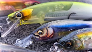 Jerkbait Tricks For Early Fall Bass Fishing Beginner To Advanced [upl. by Abekam199]