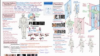 Anatomía Curso Completo Tema 2 Sujeto anatómico y planimetría [upl. by Edrahs]