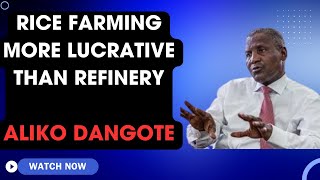 Dangote reveals why Rice farming is more lucrative than oil refinery [upl. by Enawtna]