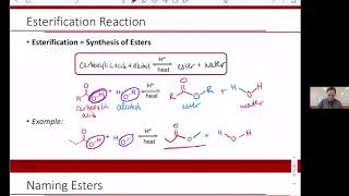 C102Esterification and Naming Esters [upl. by Etteniuqna]