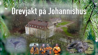 Drevjakt på Johannishus Driven hunts in Sweden [upl. by Aikemot903]