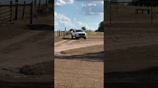 Lot 35  2012 Chevrolet 4x4 Silverado [upl. by Hailey336]