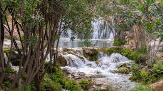 Descubre los parques naturales de la Comunitat Valenciana MediterráneoEnAcción [upl. by Yusuk278]