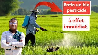 Enfin un bio pesticide à effet immédiat [upl. by Cung]