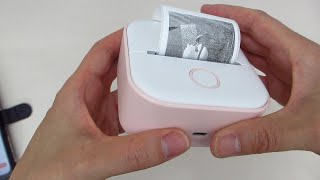 Memoking Label Makers  Phomemo T02 Mini Portable Small Printer  Mini Sticker Printer Demo [upl. by Eirrehs362]