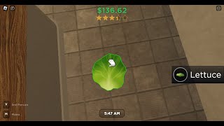 How To Get The quotFoot Lettucequot Badge In Roblox Burger Game [upl. by Marchese]