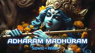 Adharam Madhuram slow  reverb Radha Krishna Bhajan bhakti song bhajan [upl. by Golanka72]