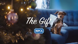 The Gift  RSPCA  Christmas Ad 2021 [upl. by Flaherty146]